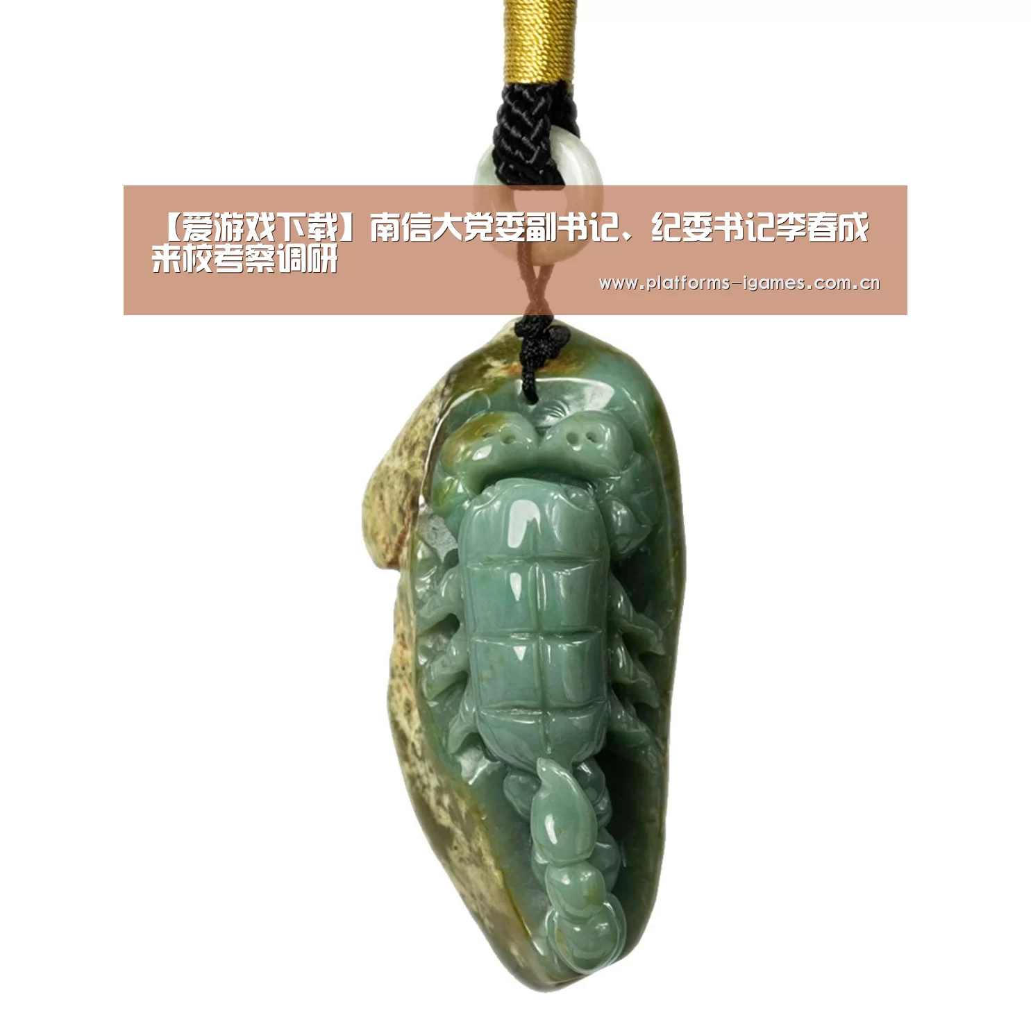 【爱游戏下载】南信大党委副书记、纪委书记李春成来校考察调研(图2) 爱游戏平台